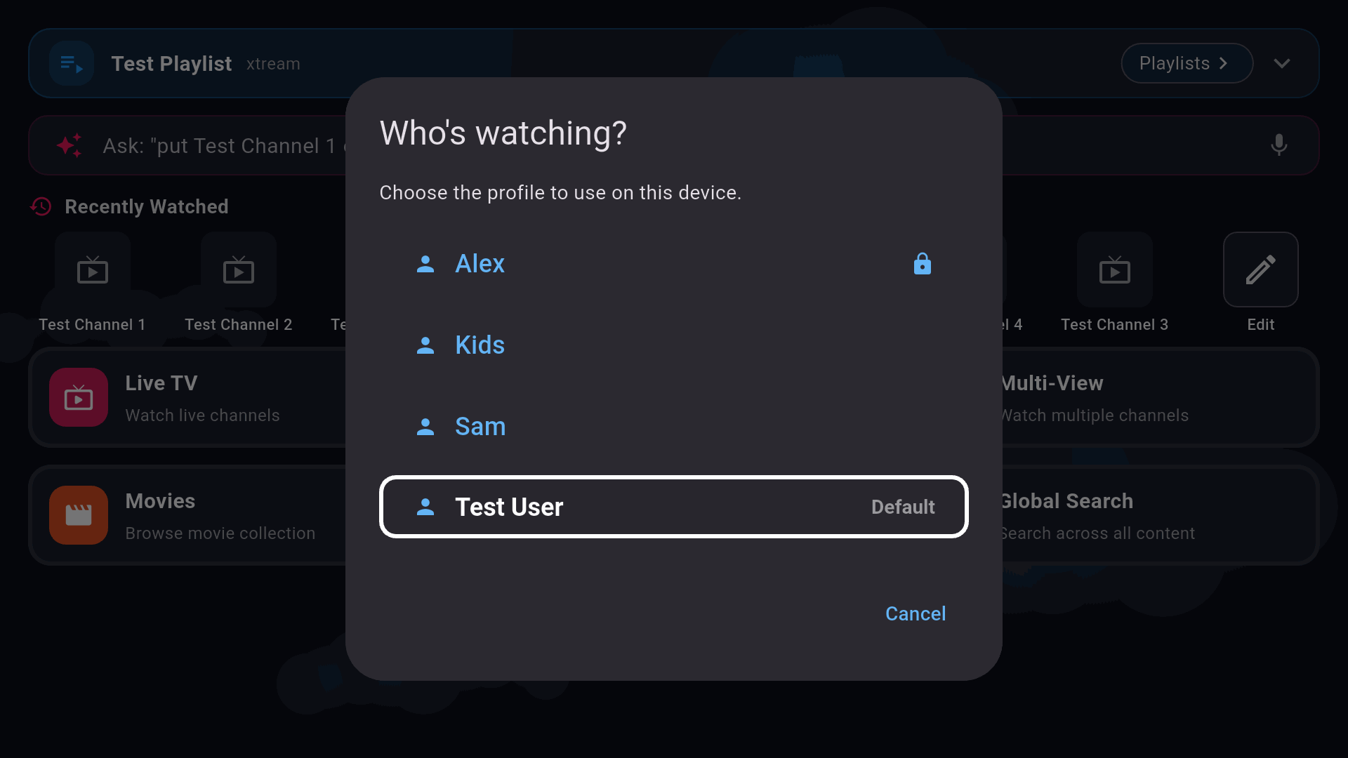 The Who's watching profile picker on a TV